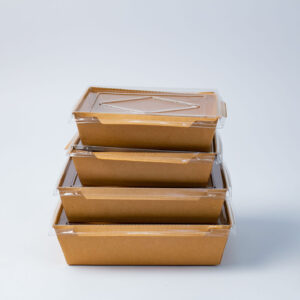 KRAFT RECTANGULAR PAPER BOX WITH CLEAR CLIP COVERS