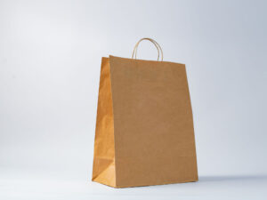 TWISTED HANDLE PAPER BAGS