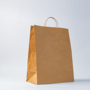 TWISTED HANDLE PAPER BAGS 10#