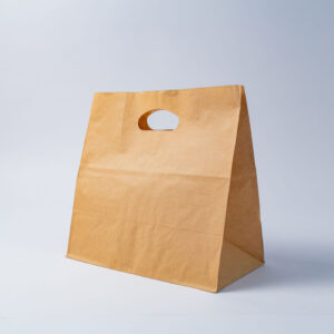FLAT HANDLE PAPER BAGS 305x175x430 Bx041 (XLARGE)