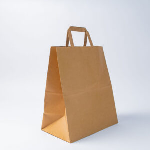 FLAT HANDLE PAPER BAGS 255x170x305 Bx037 (MEDIUM)